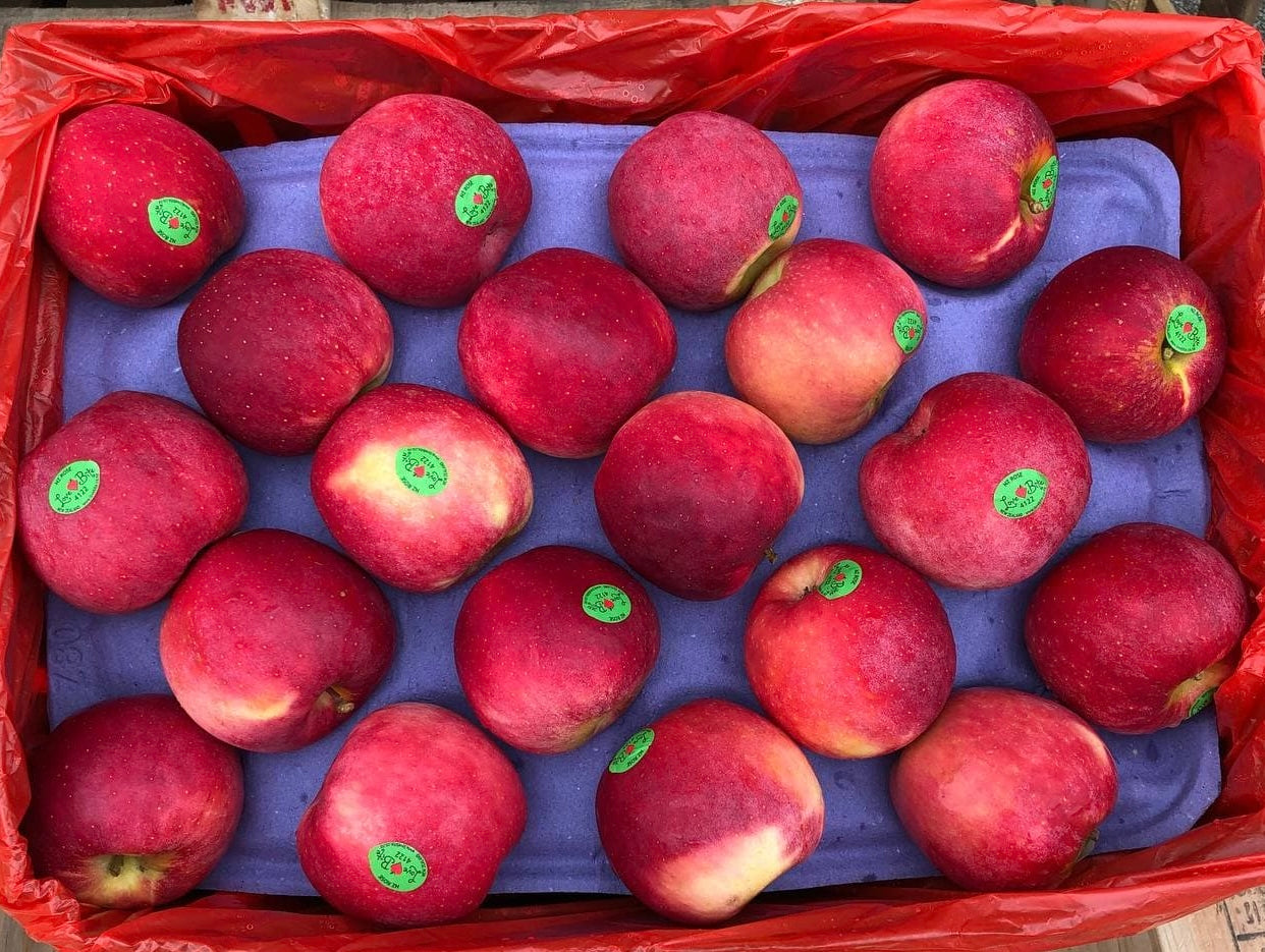 Pacific Rose Apple (PCS/粒)