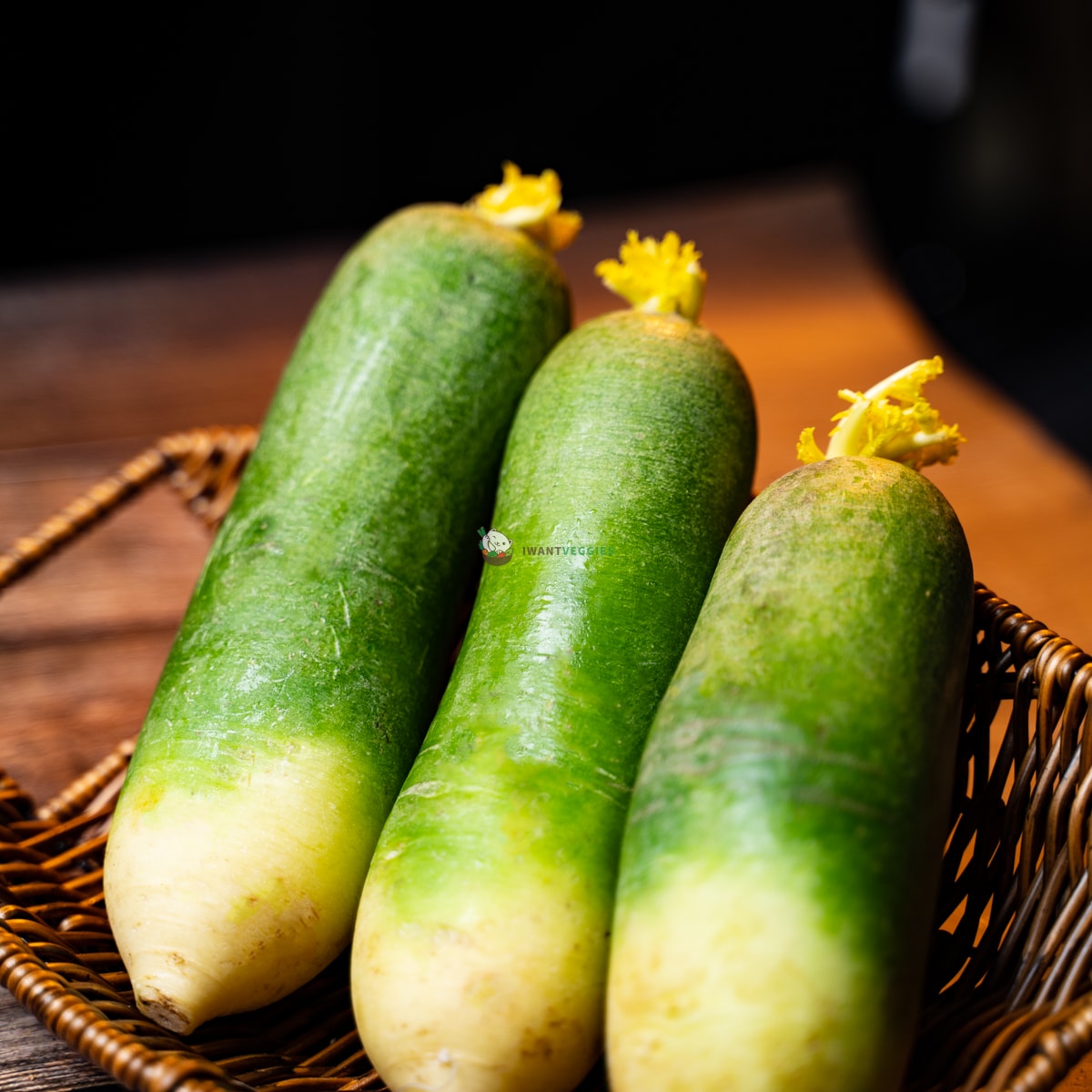 Green Radish 青萝卜 (KG/公斤±)