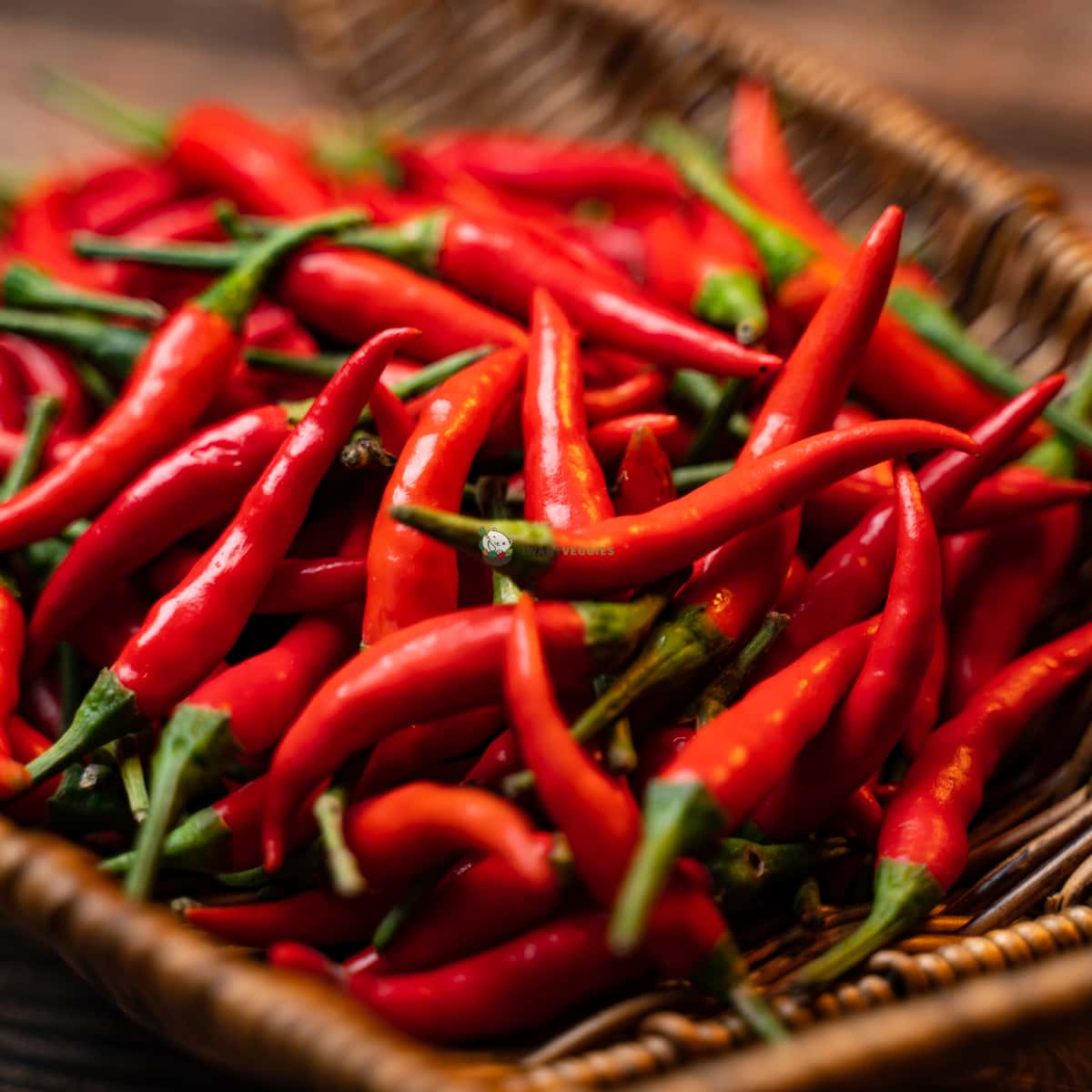 Red Chili Padi 红米椒 (200G±)