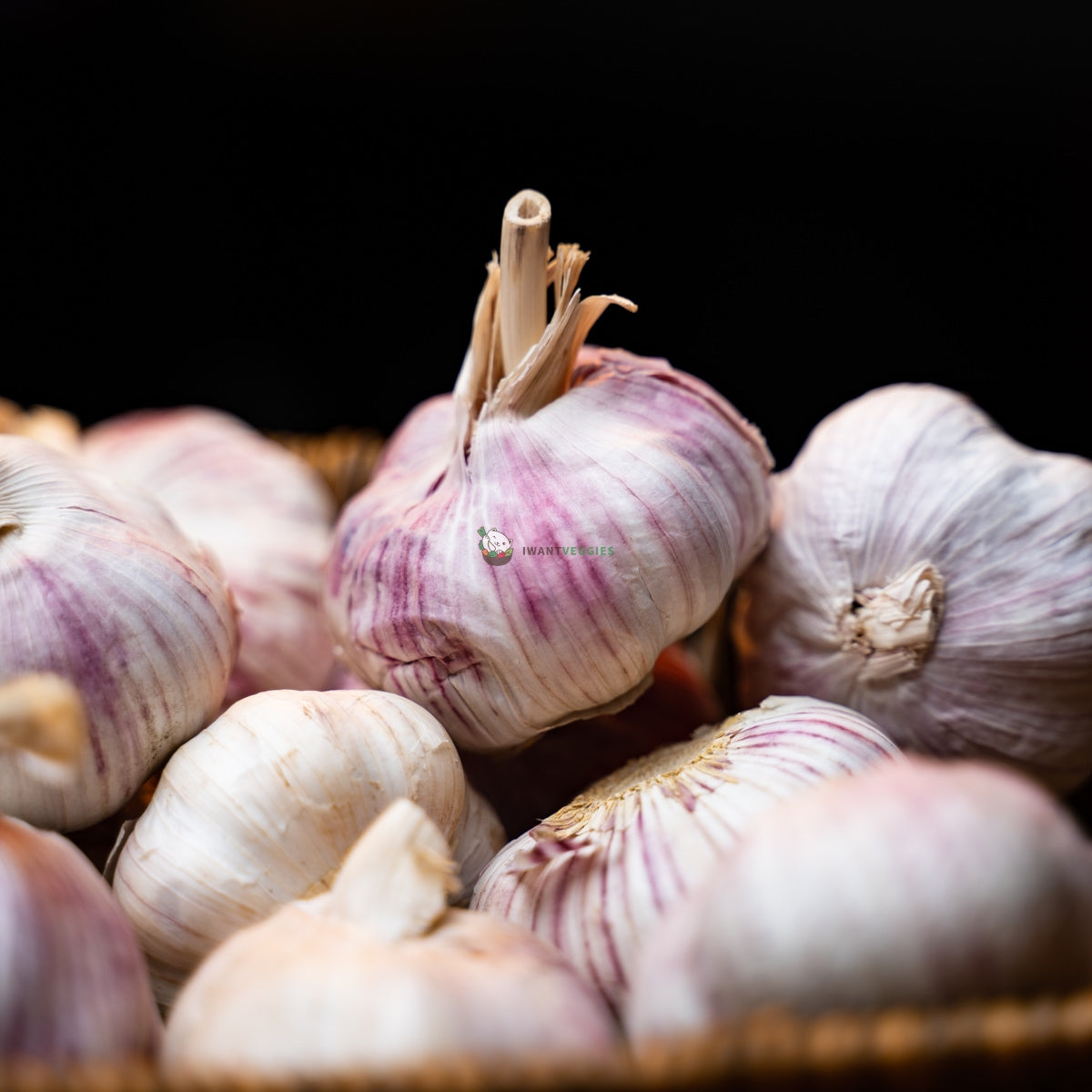 Garlic 蒜头 (200G±)