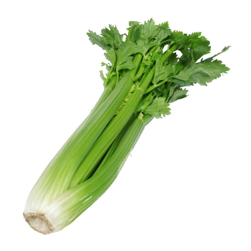Australian Celery 澳洲西芹 (PKT/包)