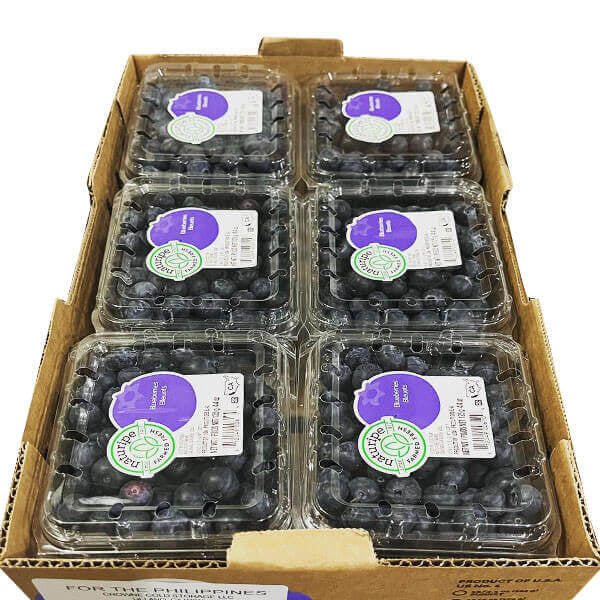 Blueberries 蓝莓 (PKT/包)