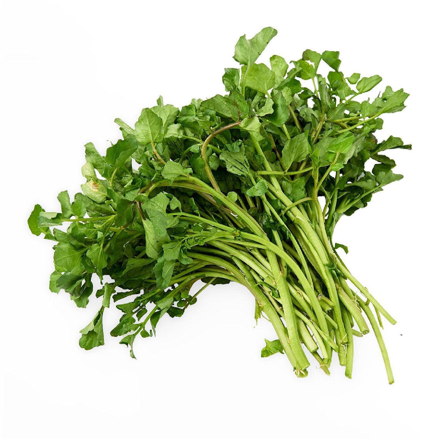 Watercress 西洋菜 (400G±)