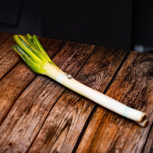 Japanese Leek/Scallion 北葱 (BUNCH/把)