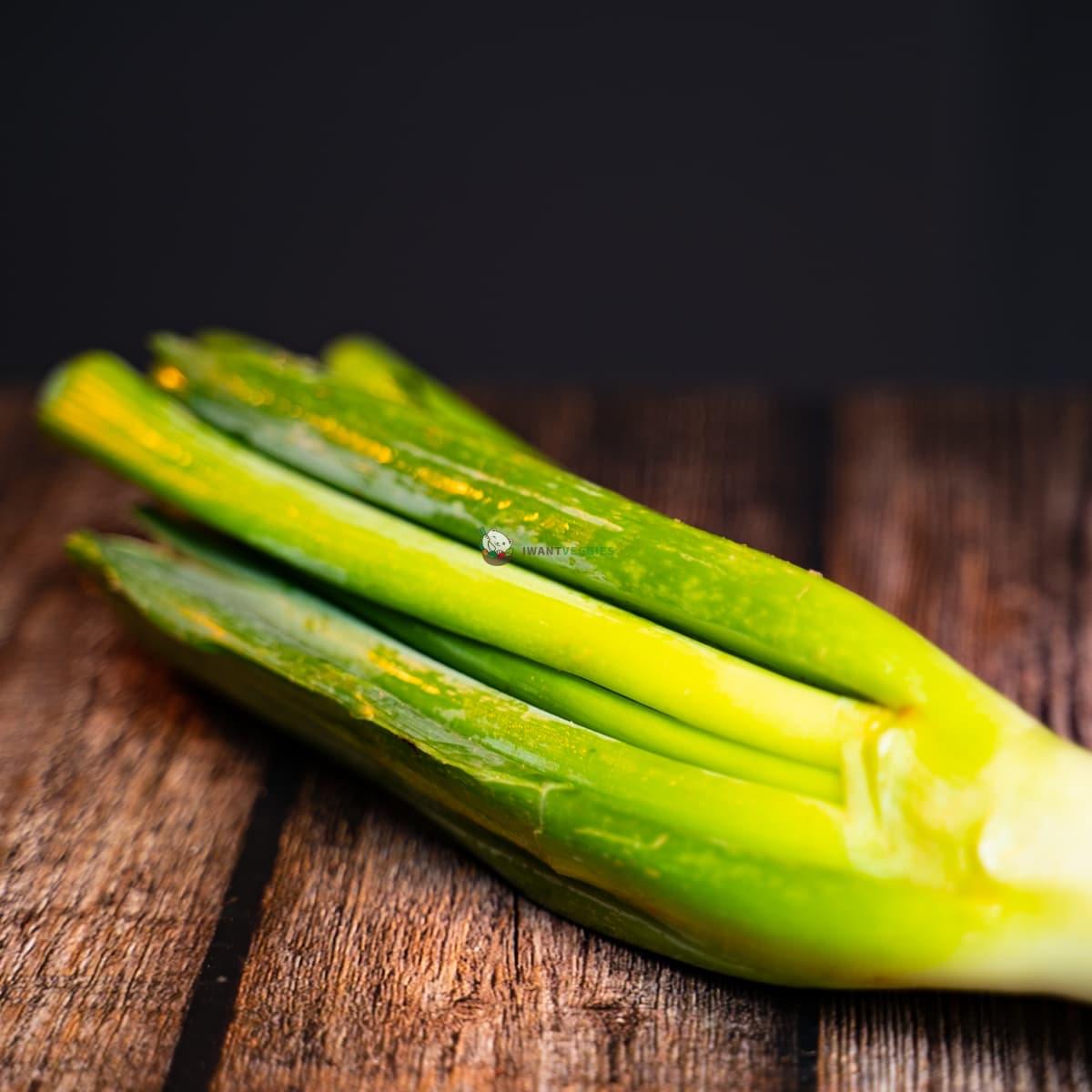 Scallion - Bei Chong 北葱 (BUNCH/把)