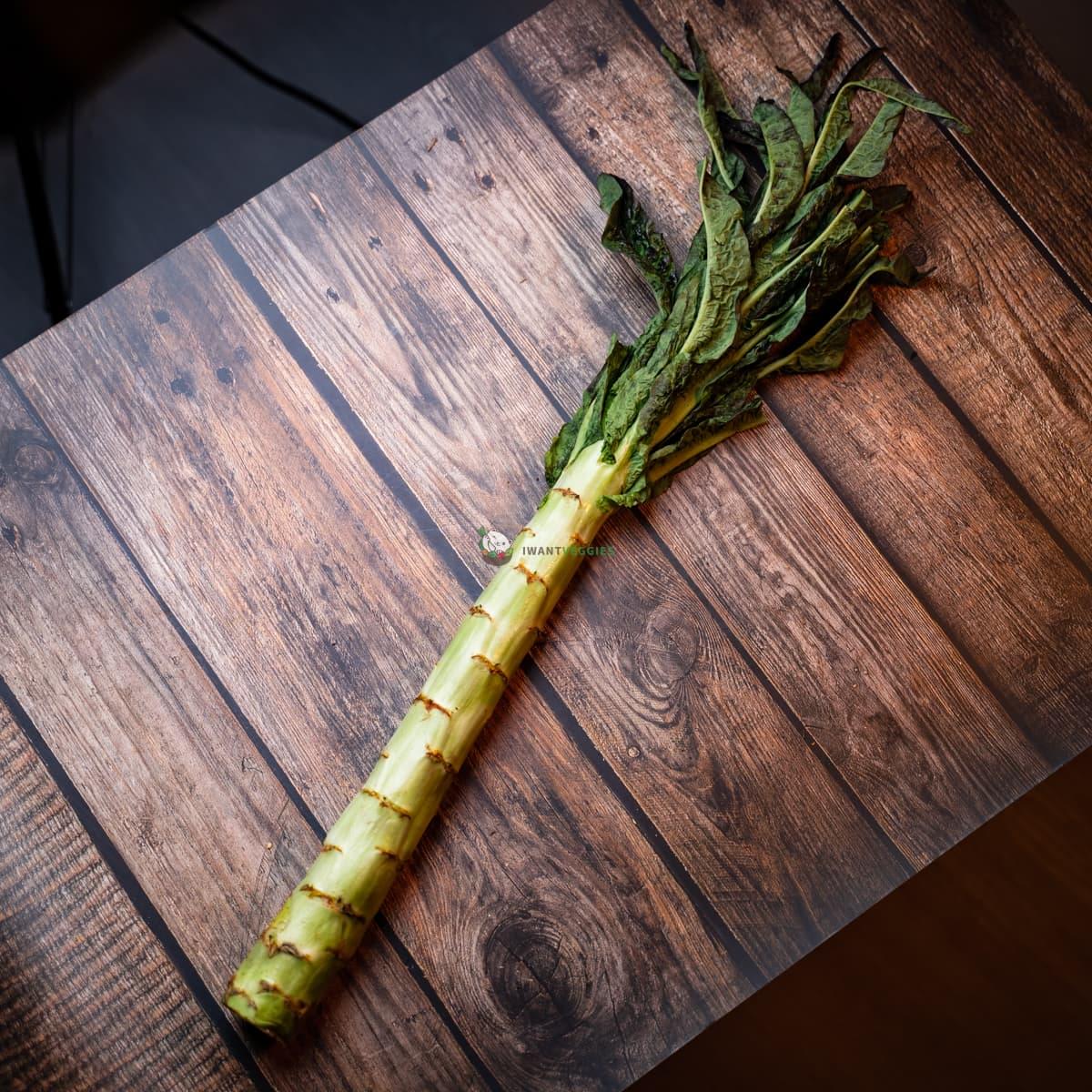 Celtuce 莴笋 750G± (PCS/条)
