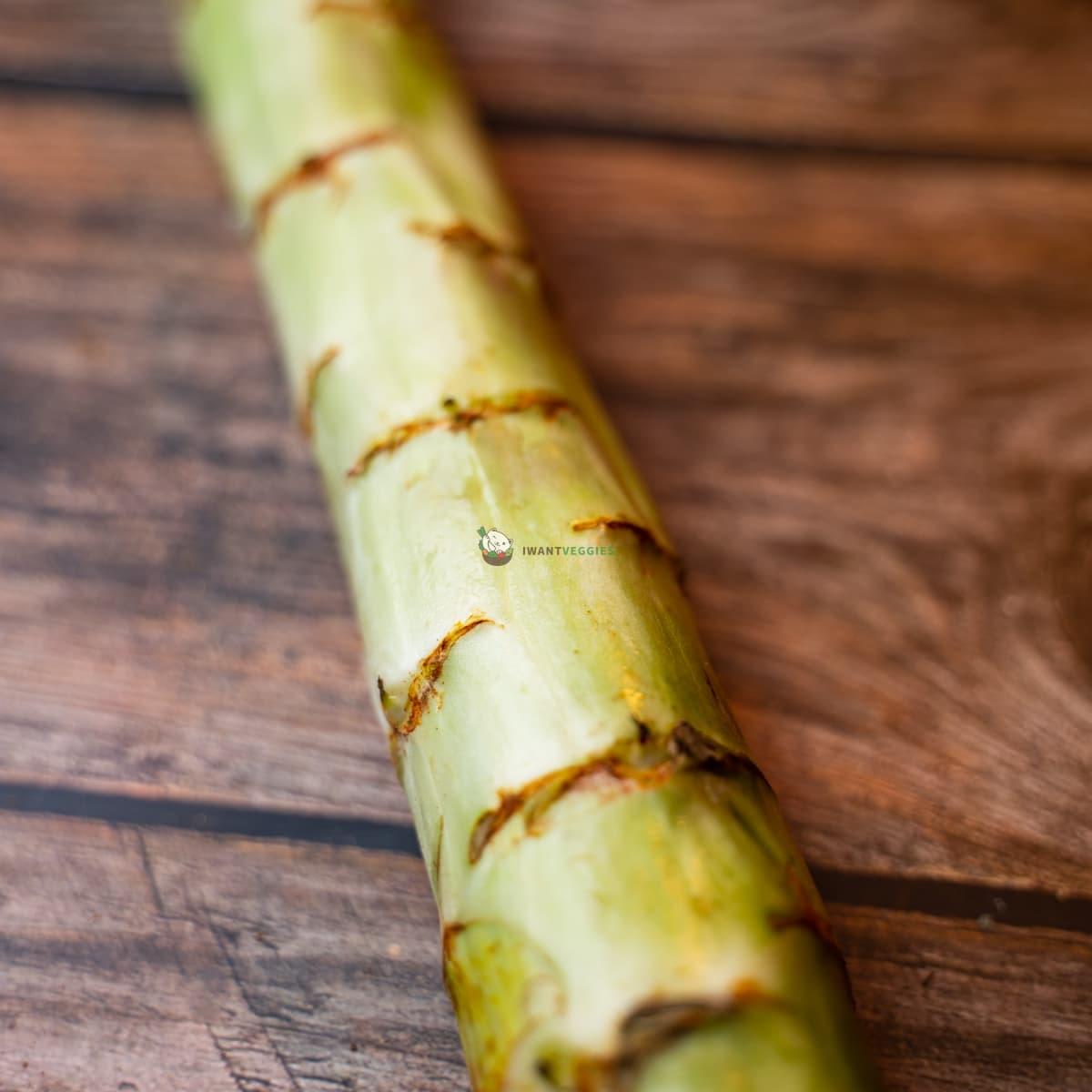Celtuce 莴笋 750G± (PCS/条)