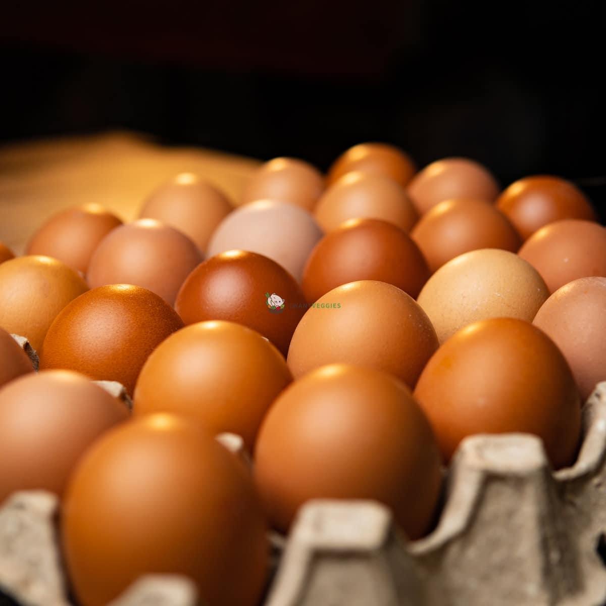 Fresh Eggs 新鲜鸡蛋 30PCS (TRAY/盘)