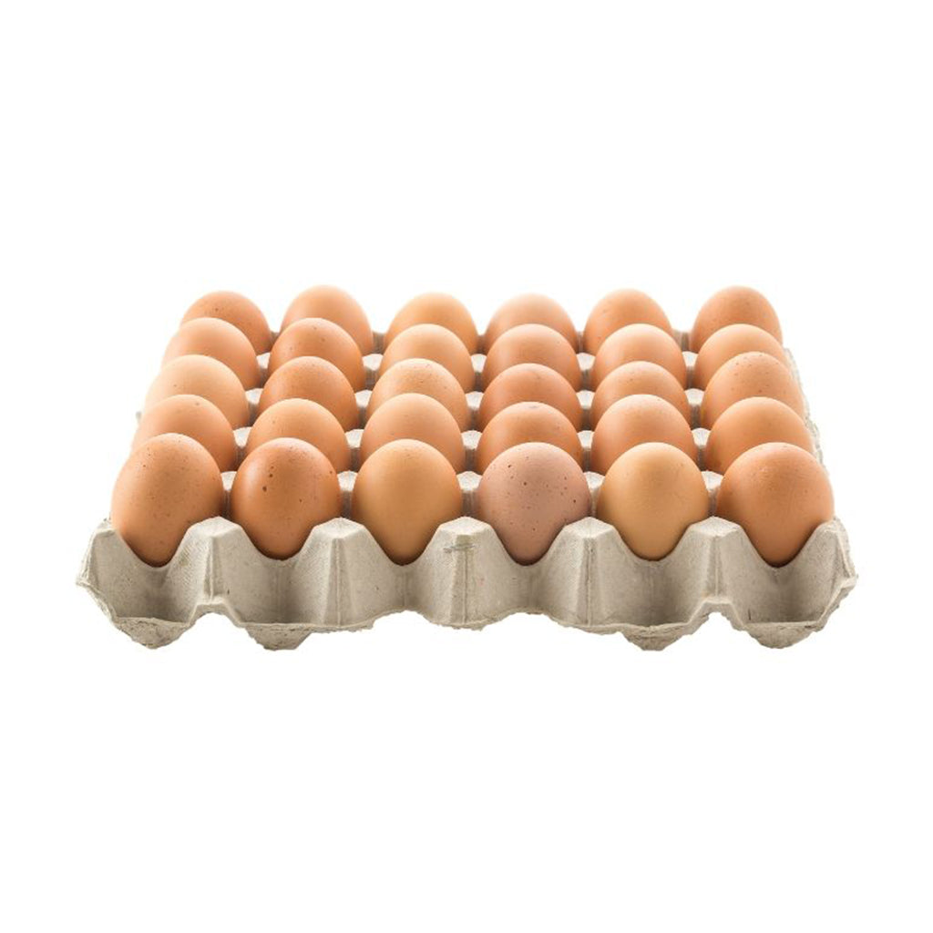 Fresh Eggs 新鲜鸡蛋 30PCS (TRAY/盘)