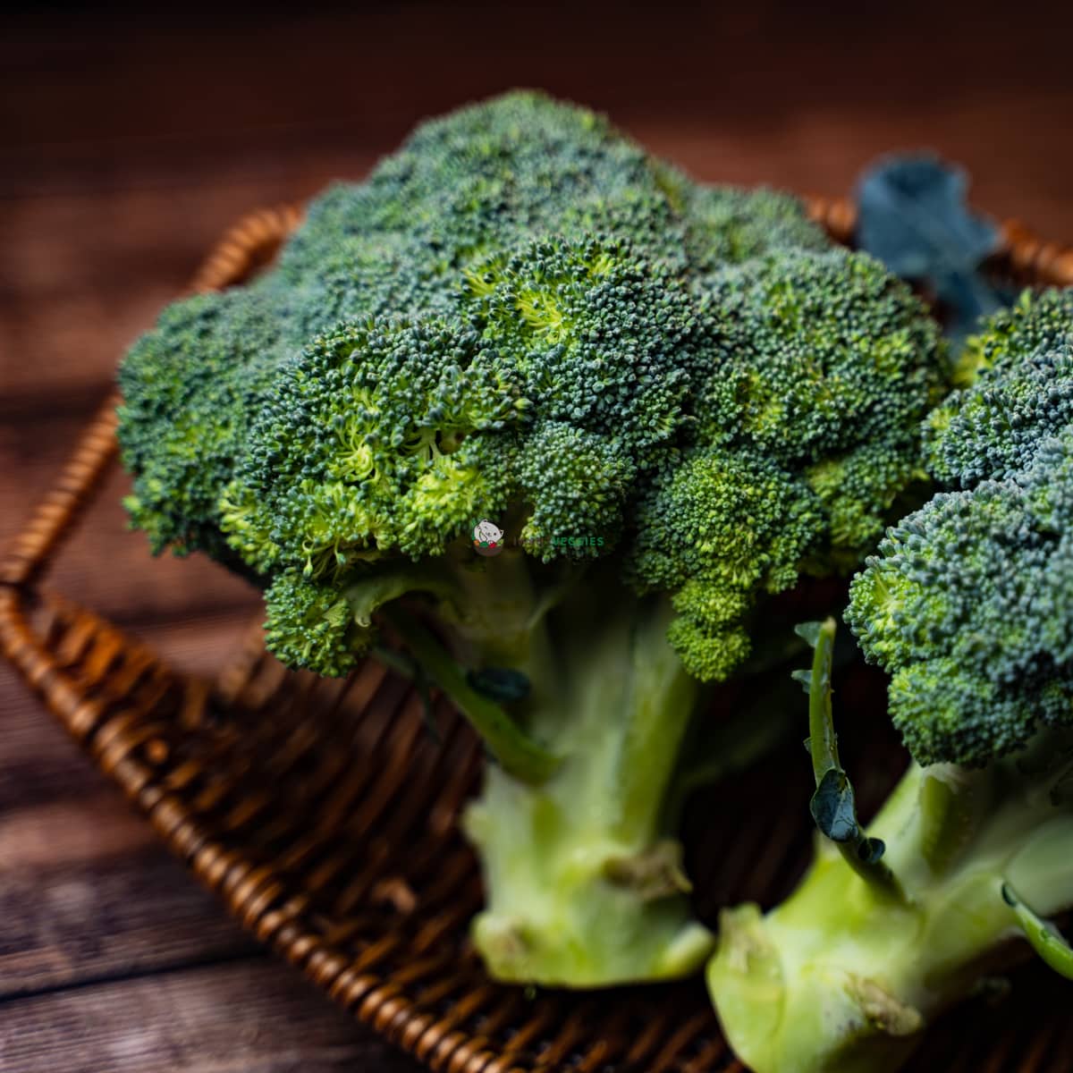 Broccoli 西兰花 (KG/公斤±) - IWantVeggies