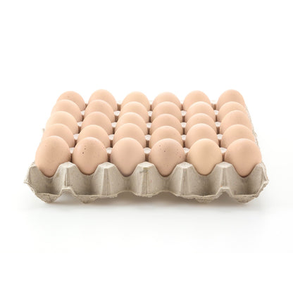 Fresh Kampung Eggs 新鲜甘榜鸡蛋 30PCS (TRAY/盘)