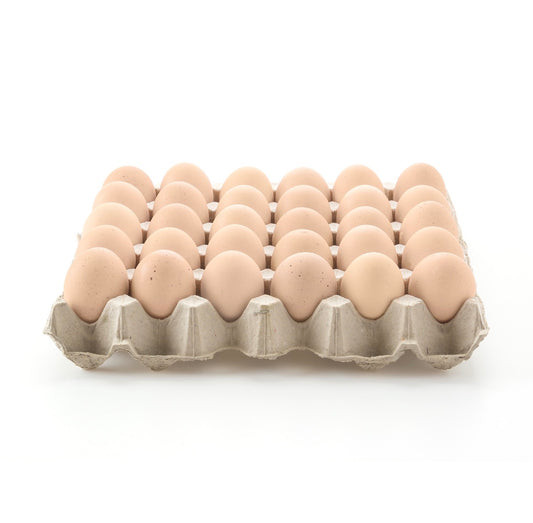 Fresh Kampung Eggs 新鲜甘榜鸡蛋 30PCS (TRAY/盘)