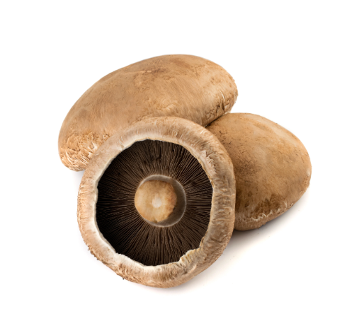 Portobello Mushroom 波托贝罗蘑菇 (KG/公斤±)