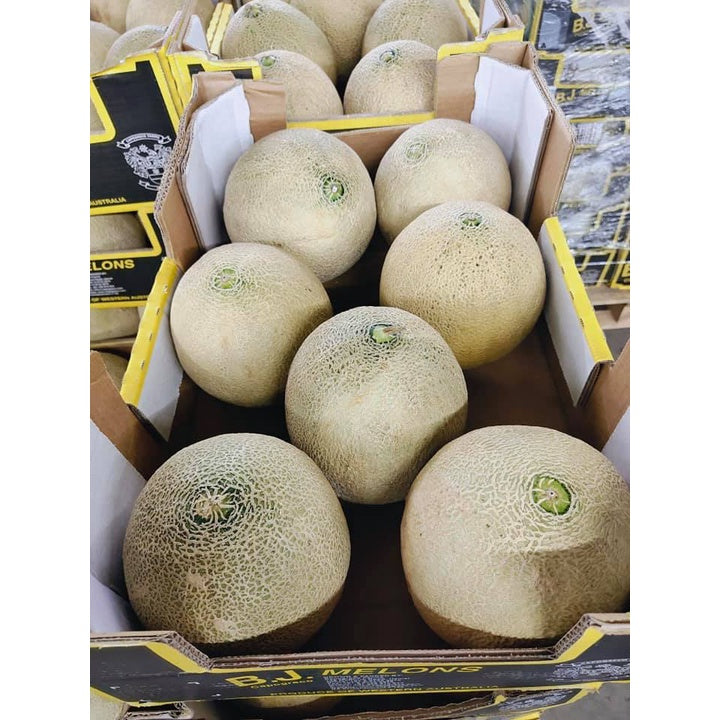 Australian Rock Melon 澳洲哈密瓜 1.8-2.5KG (PCS/粒)