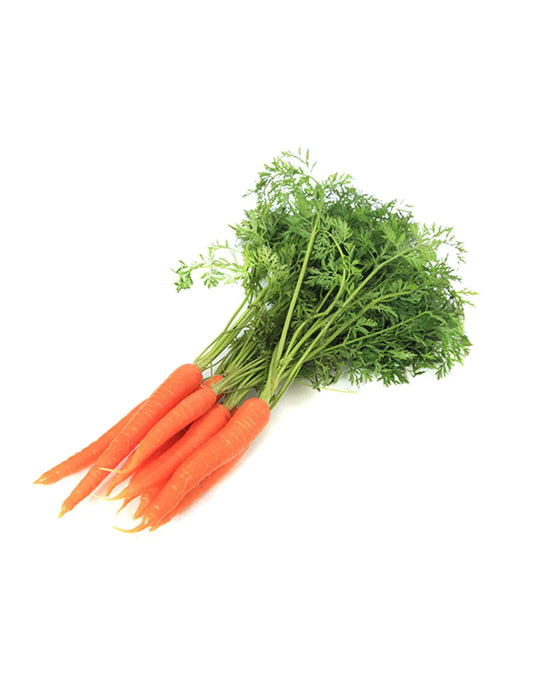 Baby Carrot with Leaves 萝卜仔和叶子 (500G±)