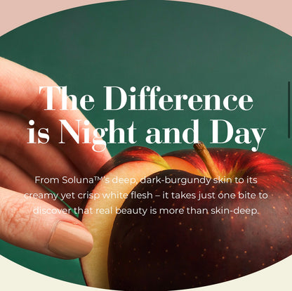 Soluna Apple 澳洲星空萍果 (PCS/粒)