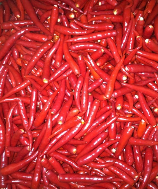 Red Chili Padi (Stemless) 去头红米椒 (200G±)