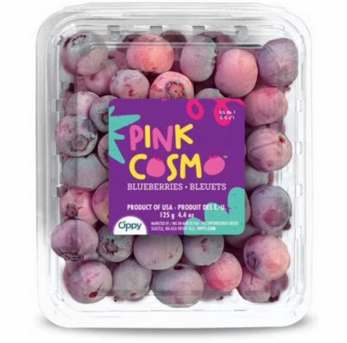 Pink Cosmos Blueberries 粉红宇宙蓝莓 (BOX/盒)
