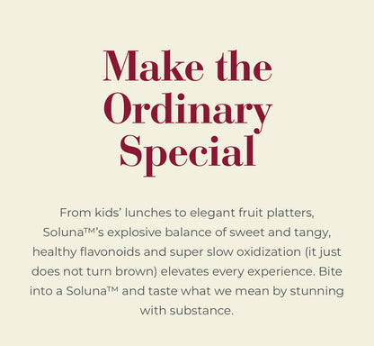 Soluna Apple 澳洲星空萍果 (PCS/粒)