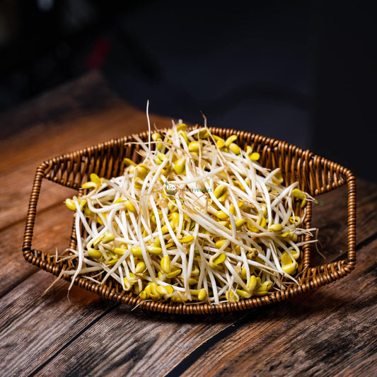 Basket of soya bean sprouts on wood surface - fresh, green and packed with nutrients. A healthy addition to any meal.