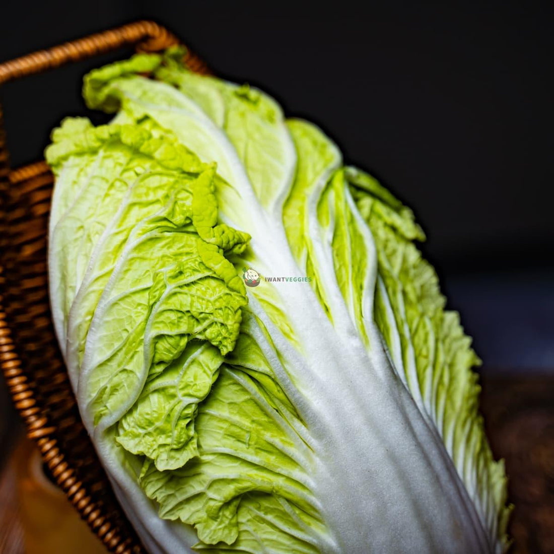 Chinese Long Cabbage 大白菜 2KG± (PCS/粒) – IWantVeggies