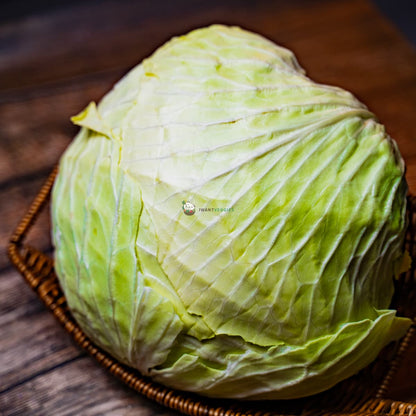 Round Cabbage 印尼包菜 2KG± (PCS/粒)