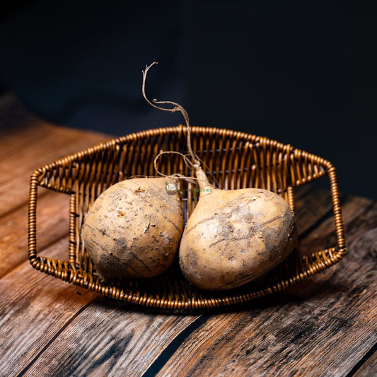 crunchy brown earthy turnips straight from the soil