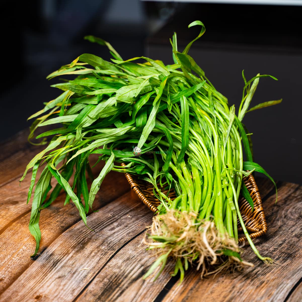 bright green with lively roots, a bunch of kang kong vegetable