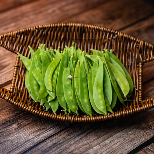 Snow peas in basket on wood. Fresh, green pods with edible peas inside. Crisp, sweet, and delicious.