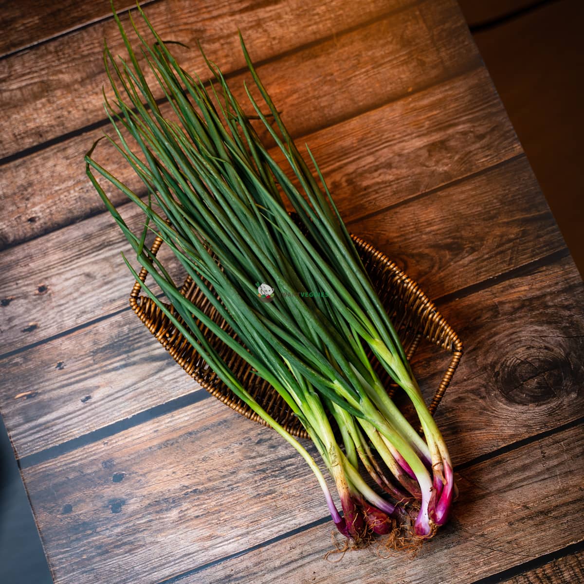 Fresh spring onions in basket on wood surface. Green stalks with purple bulbous ends.