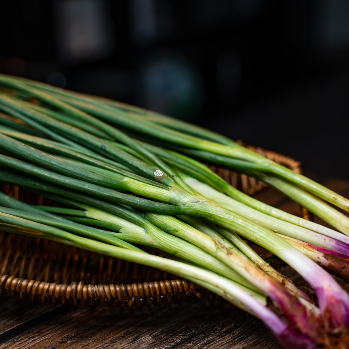 Spring Onion 青葱 (200G±)