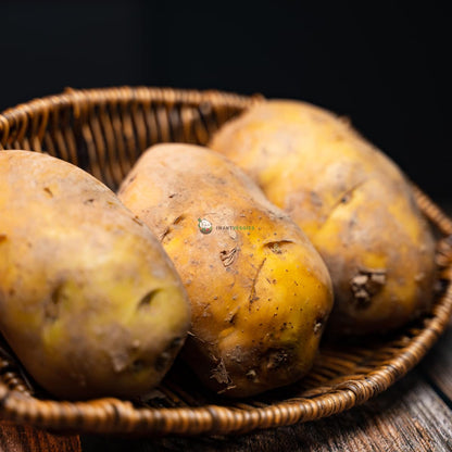 Potatoes 马铃薯 (KG/公斤±)