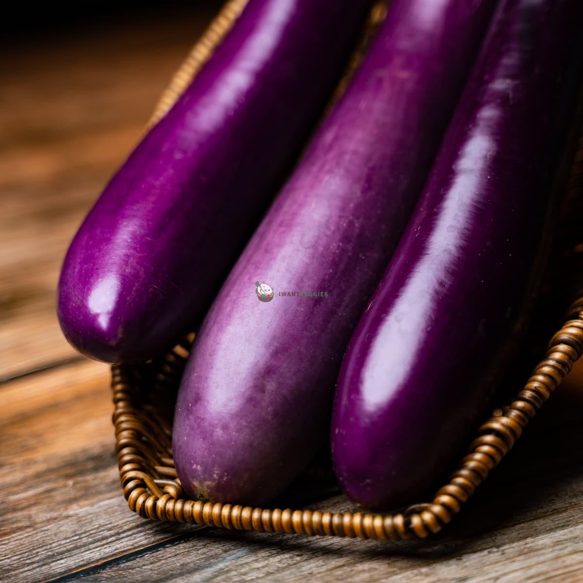 Eggplant 红茄 (KG/公斤±)