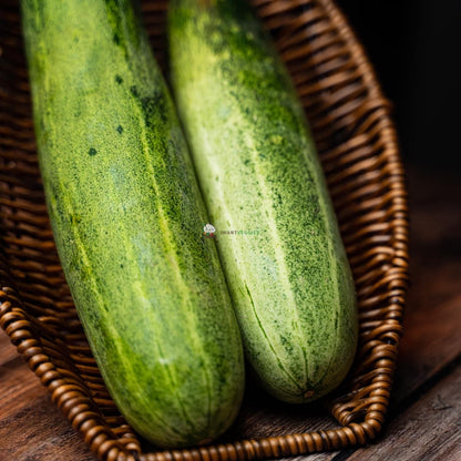 Cucumber 本地青瓜 (KG/公斤±)