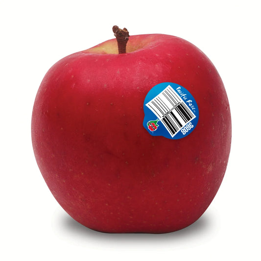 Pacific Rose Apple (PCS/粒)