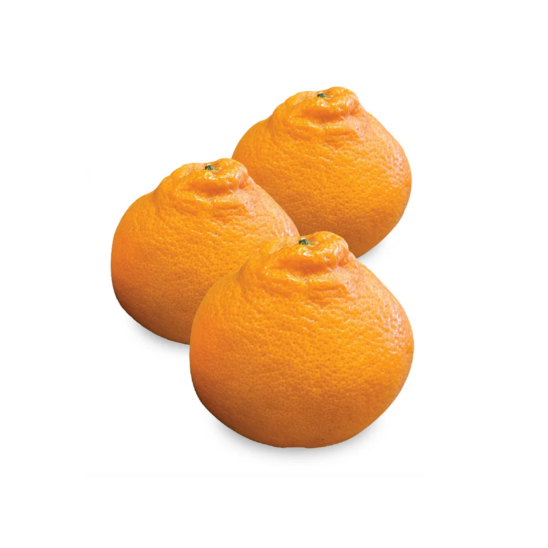 Papagan Mandarin Oranges 杷杷柑