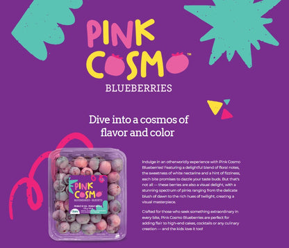 Pink Cosmos Blueberries 粉红宇宙蓝莓 (BOX/盒)