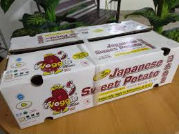 Japanese Sweet Potato (S) 日本番薯 (KG/公斤±)