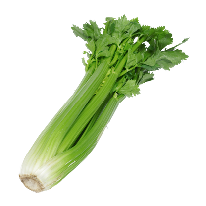 Australian Celery 澳洲西芹 (PKT/包)