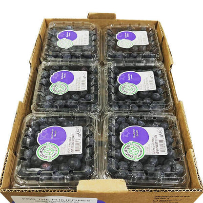 Blueberries 蓝莓 (PKT/包)