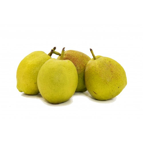 Fragrant Pear 香梨 (PCS/粒)