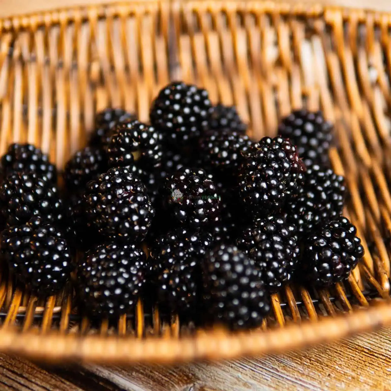 Fresh Blackberries 黑莓 (125G±/170G±)