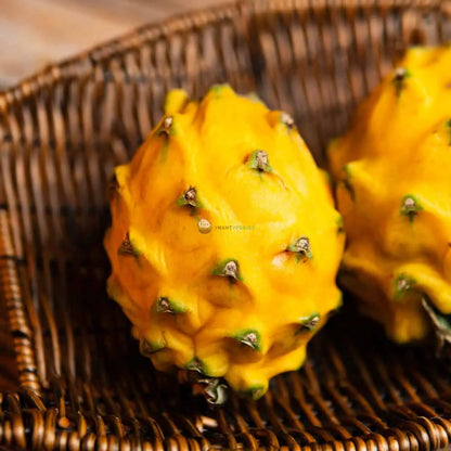 Yellow Dragon Fruit 黄肉火龙果 (PCS/粒)