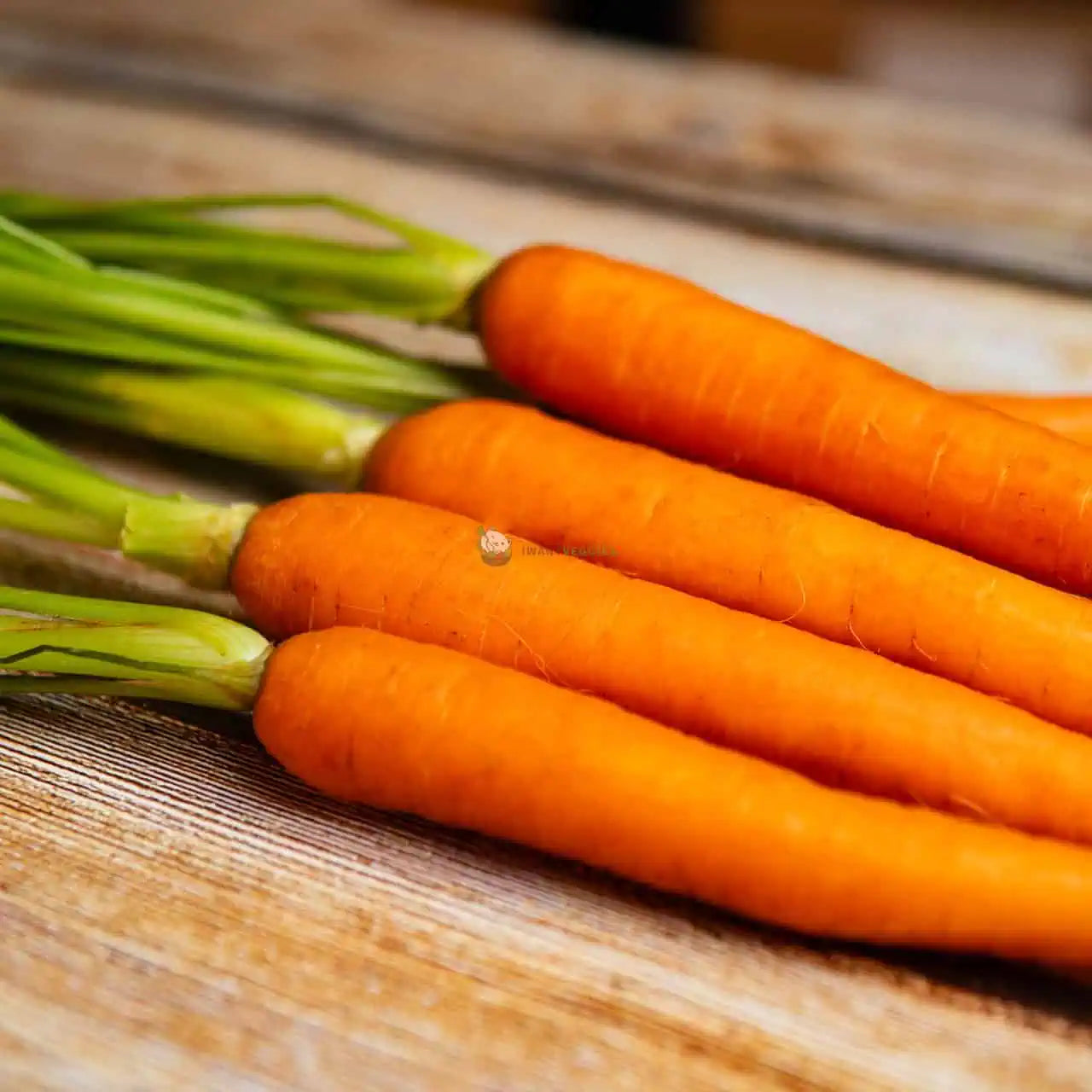 Baby Carrot with Leaves 萝卜仔和叶子 (500G±)