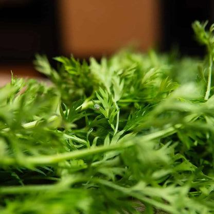 Baby Carrot with Leaves 萝卜仔和叶子 (500G±)