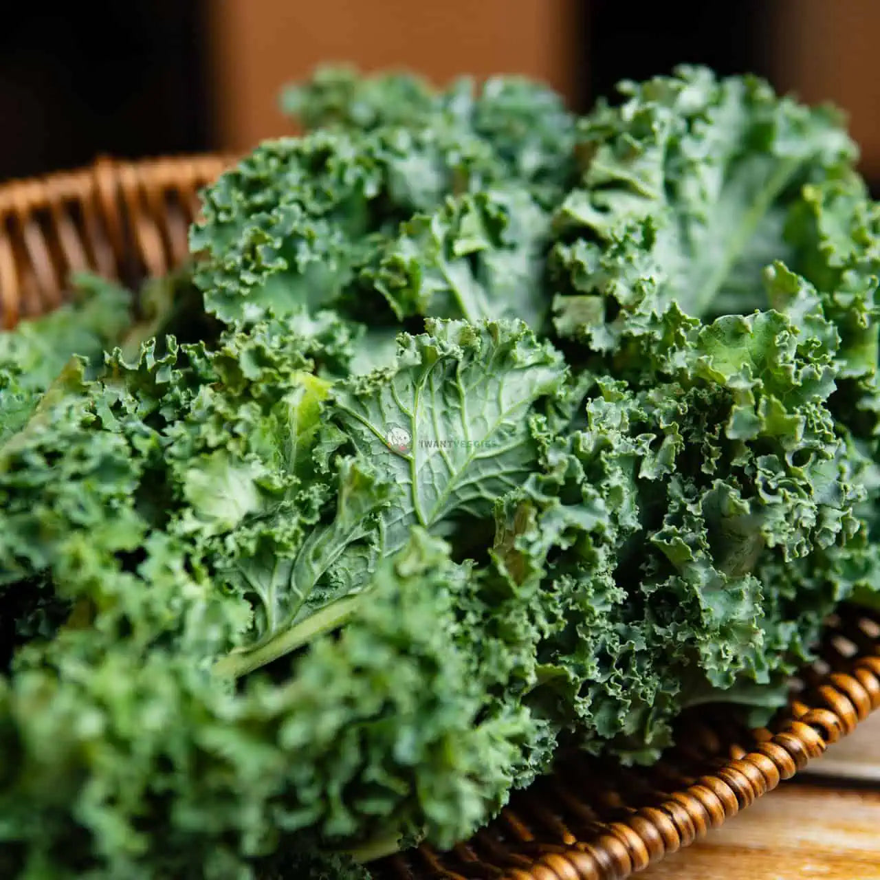 Kale 羽衣甘兰 (100G/250G/500G±)