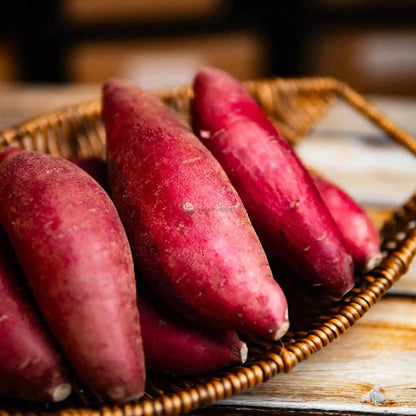 IMPORTED FROM JAPAN: Japan Sweet Potatoes (S) 日本千叶番薯 (KG/公斤±)