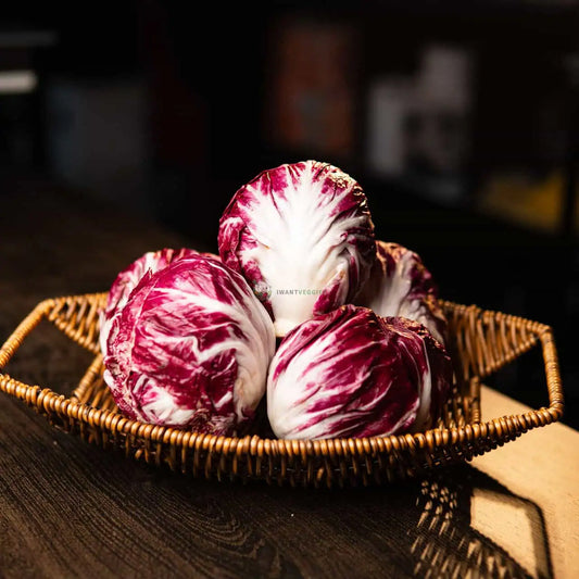 Red Chicory 红菊苣 (500G±/1KG±)