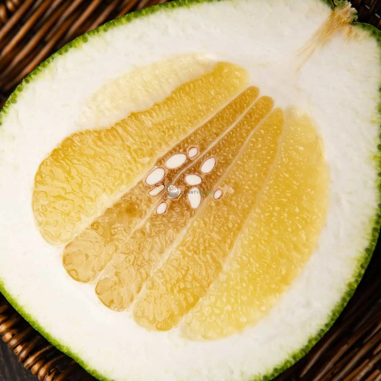 Pomelo 柚子 (PCS/粒)