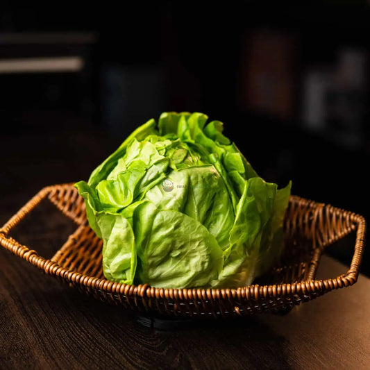 Butterhead Lettuce 奶油生菜 (500G±)